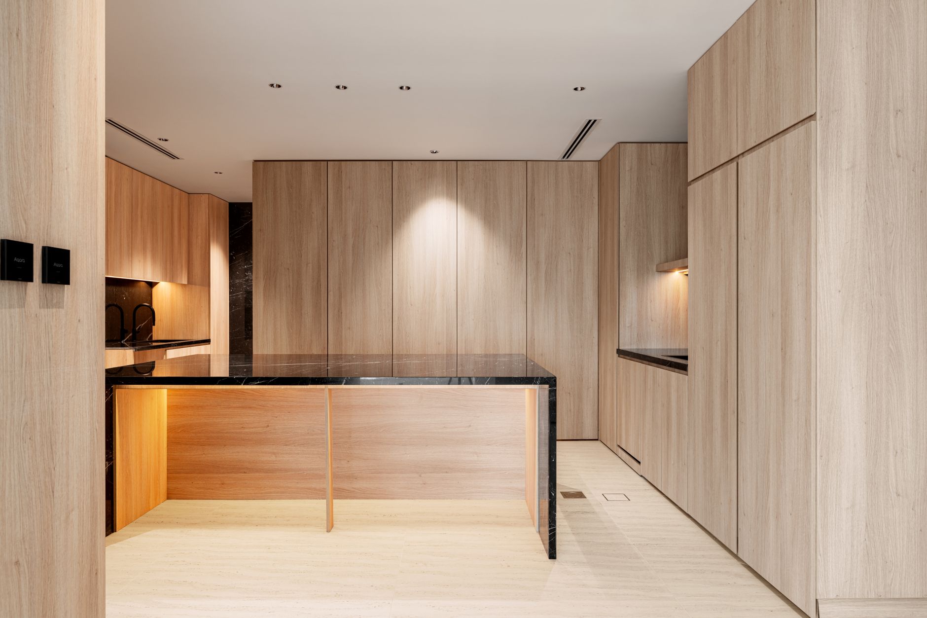 Sleek modern kitchen design featuring wood paneling and black marble countertops.